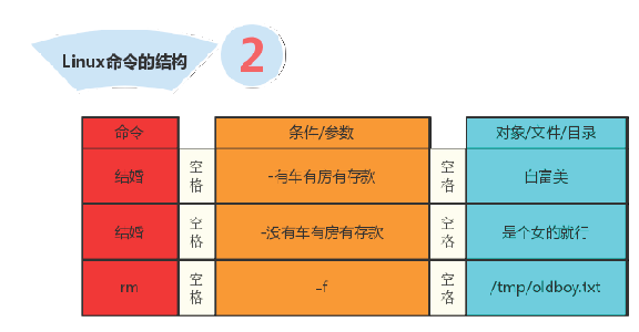 常用命令site_linux常用命令pwd_常用命令linux