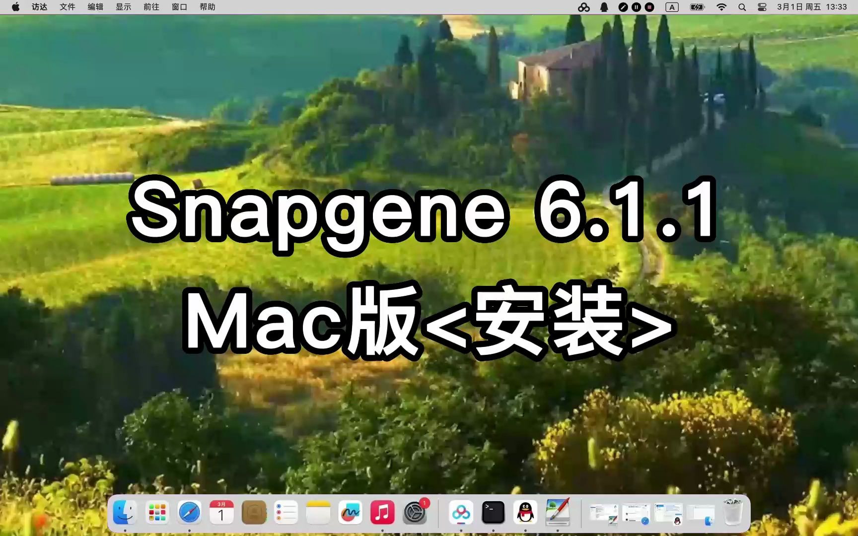 如何在 Linux 环境中执行 PHP 脚本：从安装到协同运作的全面指南