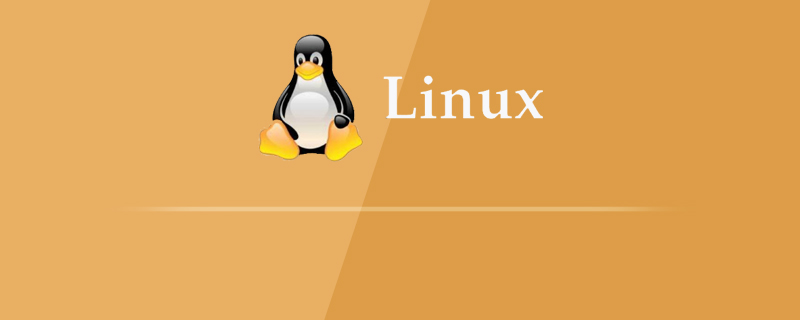 5 个命令助你轻松检查 Linux 服务器可用内存