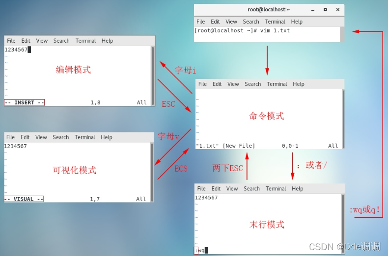 深入探讨 Linux 平台上以特定用户身份执行命令的操作流程及应用场景