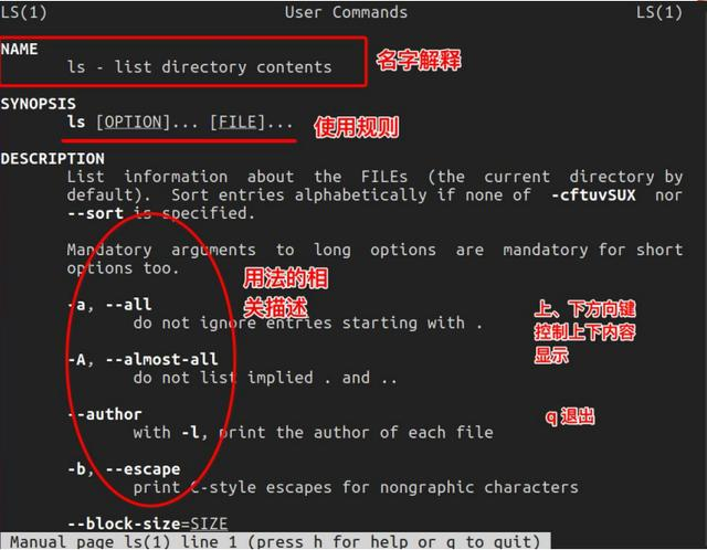 定时器驱动无源蜂鸣器_定时器驱动步进电机代码_linux 定时器驱动