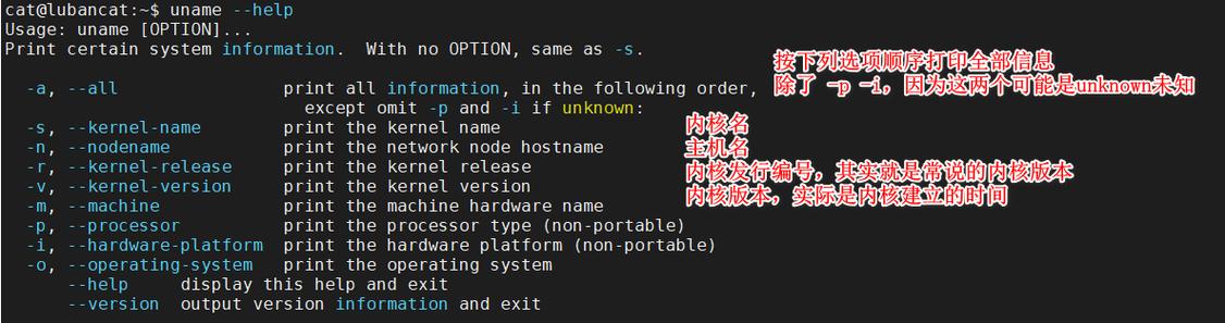 如何在Linux系统中使用uname命令检查内核版本及系统详细信息